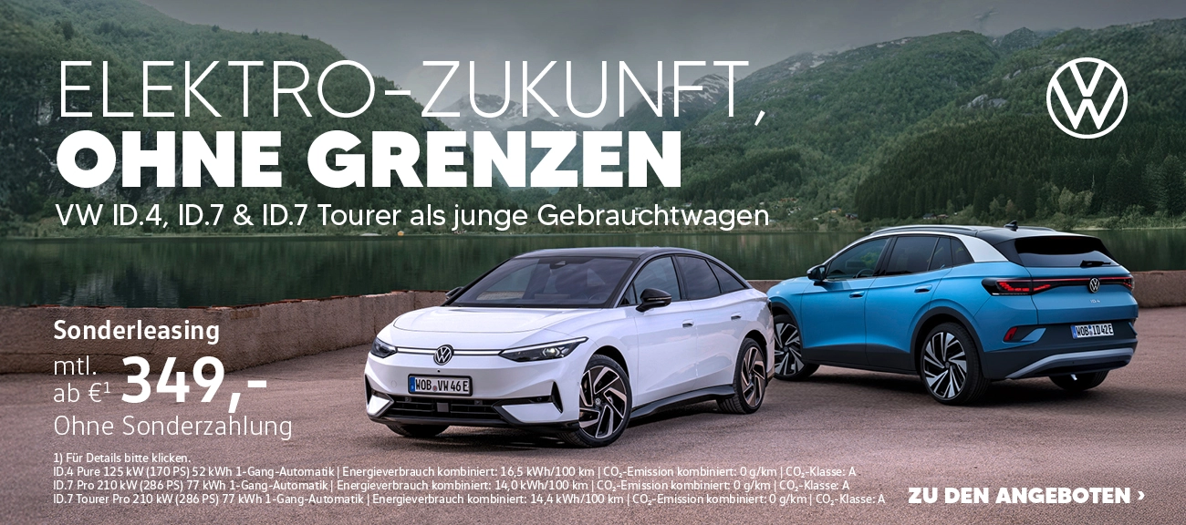 Junge gebrauchte ID.s